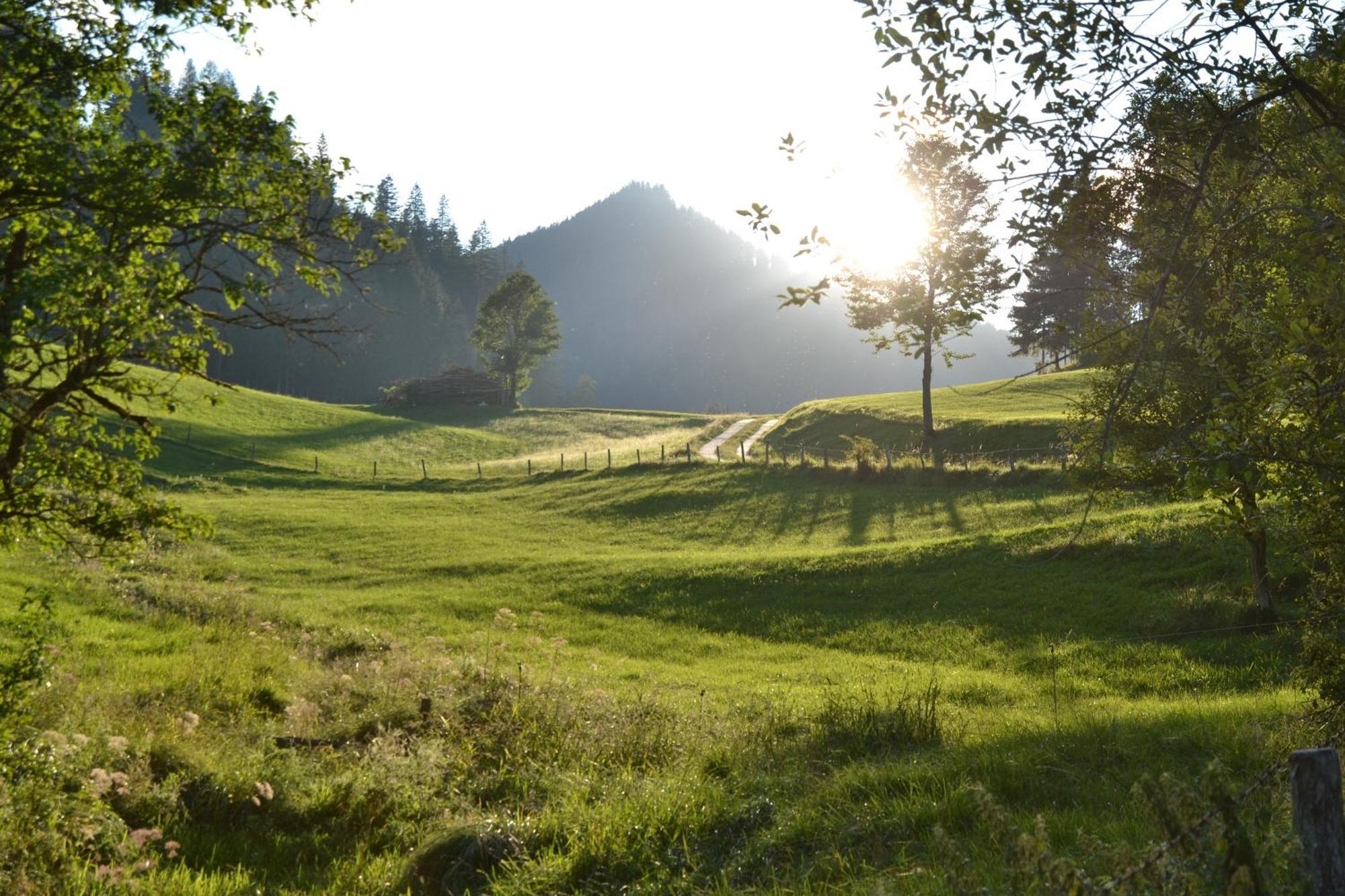 Ferienstadl - Hammerau Apartment