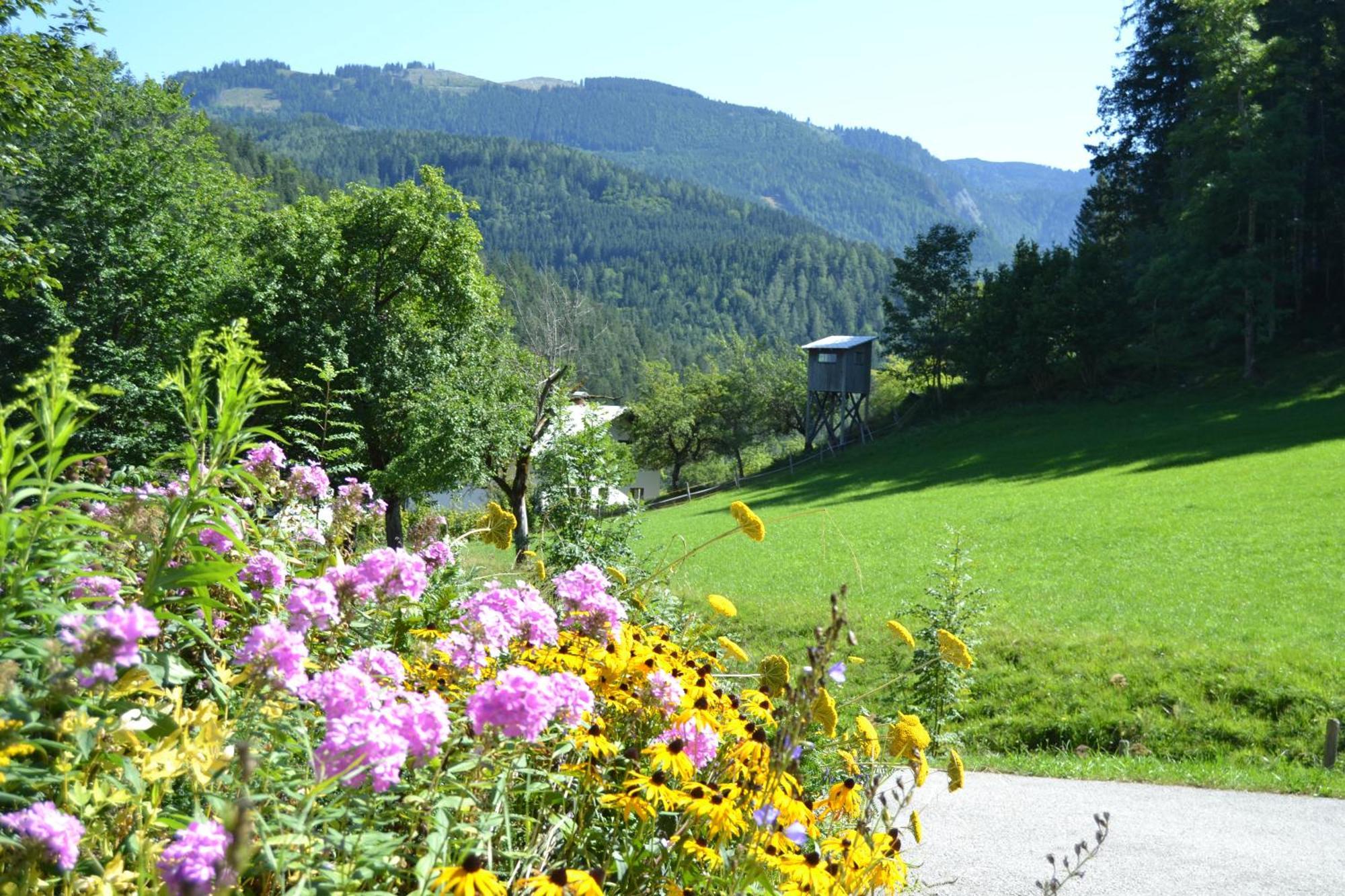 Ferienstadl - Hammerau Apartment *